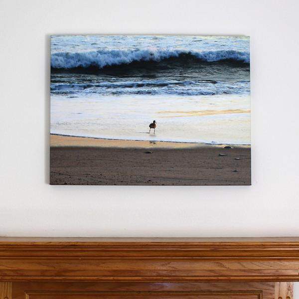 Sandpiper Large Photo Art Print On Canvas - Fearless - Maven Flair