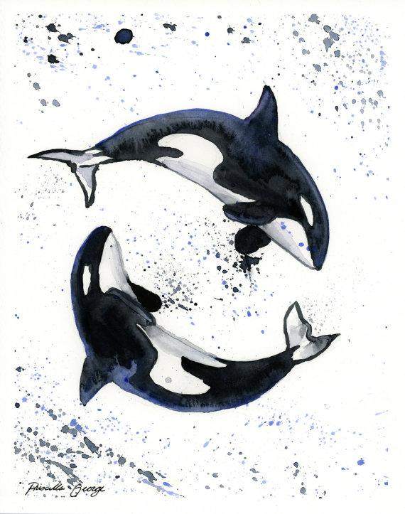 Orca Whales Watercolor Print  Whale Watercolor - Maven Flair